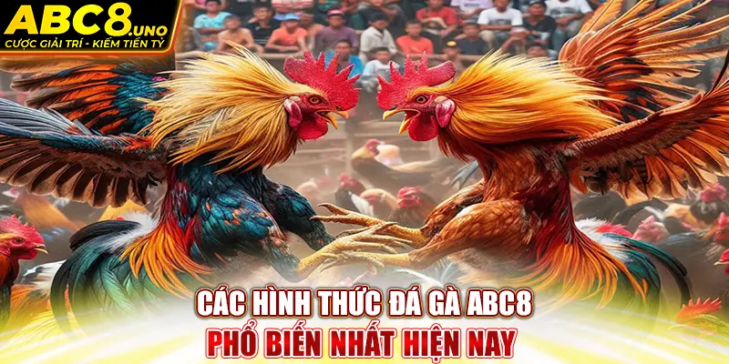 cac-hinh-thuc-da-ga-abc8-pho-bien-nhat-hien-nay-