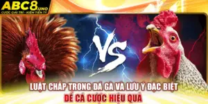 luat-chap-trong-da-ga-va-luu-y-dac-biet-de-ca-cuoc-hieu-qua-