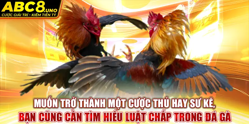 muon-tro-thanh-mot-cuoc-thu-hay-su-ke-ban-cung-can-tim-hieu-luat-chap-trong-da-ga