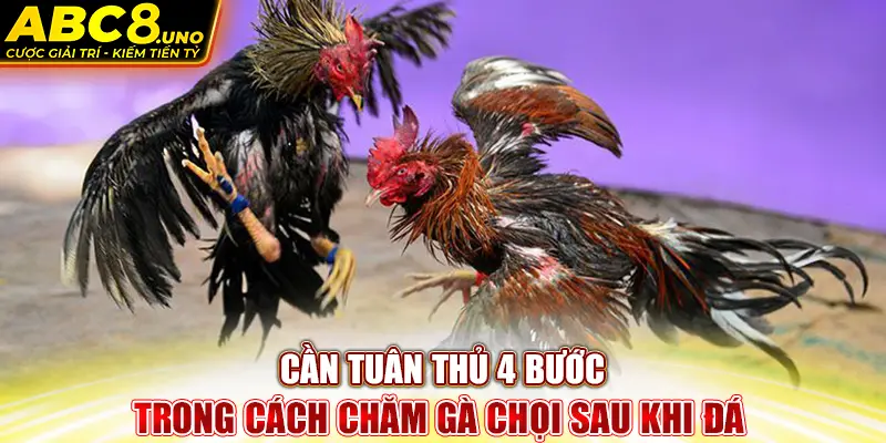 can-tuan-thu-4-buoc-trong-cach-cham-ga-choi-sau-khi-da-