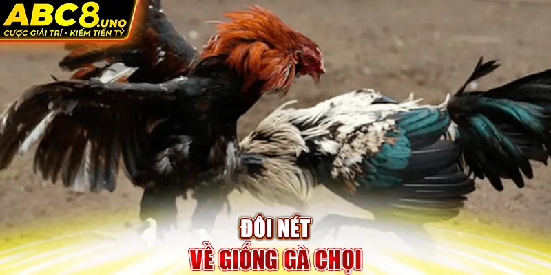 doi-net-ve-giong-ga-choi-