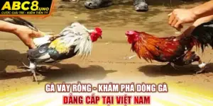 ga-vay-rong-kham-pha-dong-ga-dang-cap-tai-viet-nam